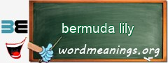 WordMeaning blackboard for bermuda lily